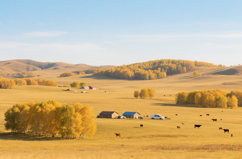 N3 单词背诵（六）