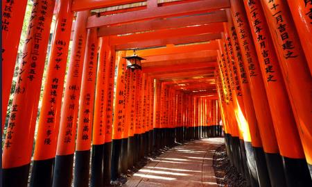 着々と迎春準備　神宮林のクスノキで干支守