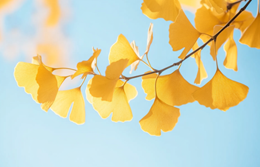 高考日语作文--模拟范文