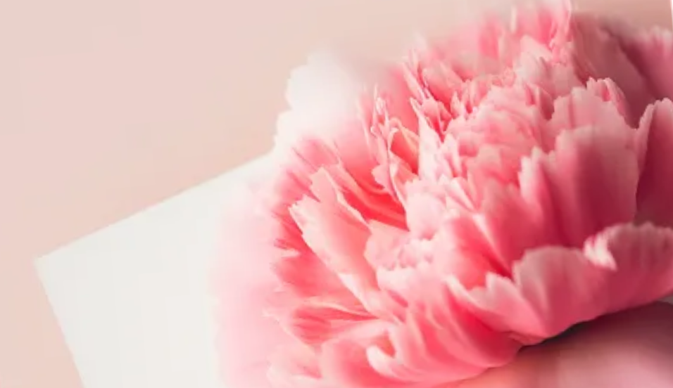 母亲节--2024年5月12号